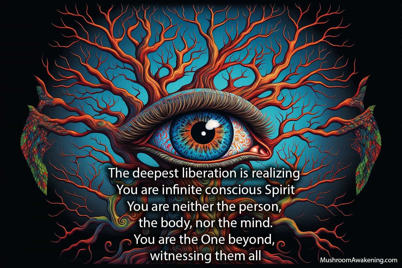 How this psilocybin retreat can guide you to a higher awareness of one's Self